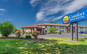 Comfort Inn And Suites West Springfield